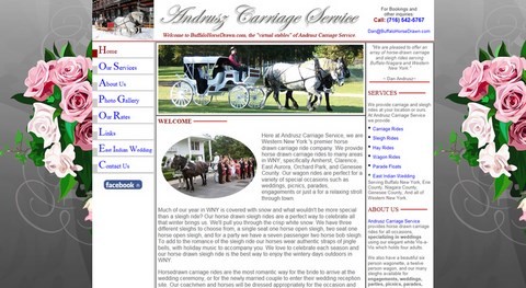 Andrusz Carriage Website Design